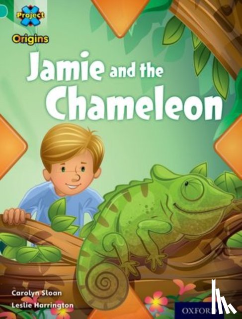 Sloan, Carolyn - Project X Origins: Turquoise Book Band, Oxford Level 7: Hide and Seek: Jamie and the Chameleon