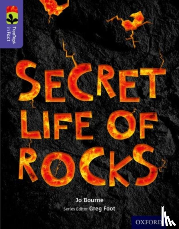 Bourne, Jo - Oxford Reading Tree TreeTops inFact: Level 11: Secret Life of Rocks