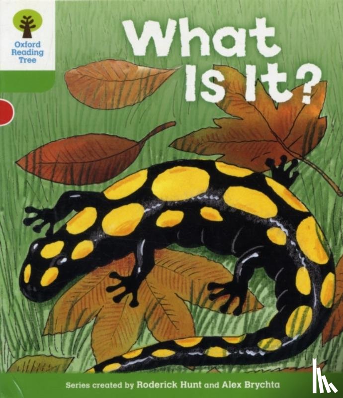 Hunt, Roderick - Oxford Reading Tree: Level 2: More Patterned Stories A: What Is It?