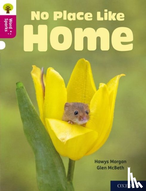 Morgan, Hawys - Oxford Reading Tree Word Sparks: Level 10: No Place Like Home