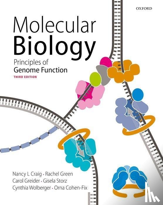 Craig, Nancy (Professor, Green, Rachel (Professor, Greider, Carol (Professor, Storz, Gisela (Bethesda - Molecular Biology