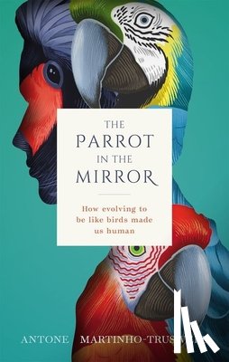 Martinho-Truswell, Antone (Dean - The Parrot in the Mirror