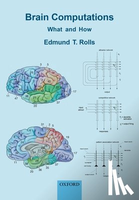 Rolls, Edmund T. (Professor in the Department of Computer Science - Brain Computations