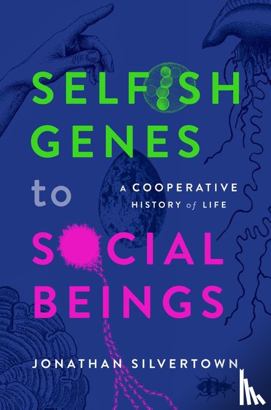 Silvertown, Jonathan (Honorary Professor - Selfish Genes to Social Beings