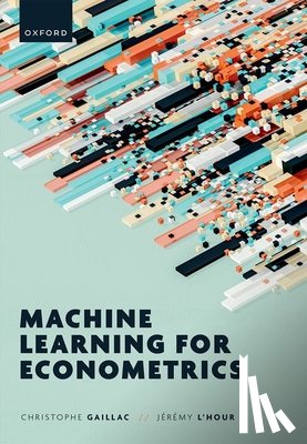 Gaillac, Christophe (Associate Professor, L'Hour, Jeremy (Quantitative researcher - Machine Learning for Econometrics