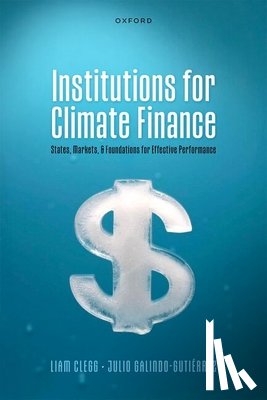 Clegg, Liam (Senior Lecturer, Galindo-Gutierrez, Julio (Research Associate - Institutions for Climate Finance