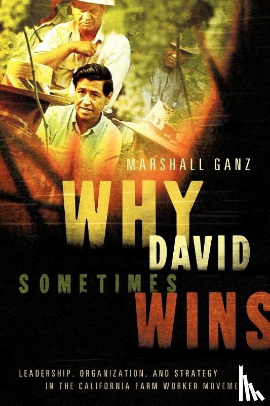 Ganz, Marshall (Lecturer in Public Policy - Why David Sometimes Wins