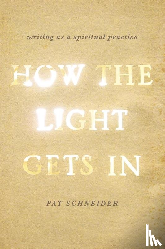 Schneider, Pat - How the Light Gets In