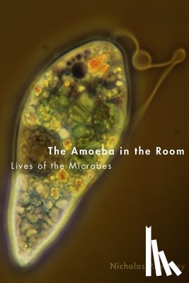 Money, Nicholas P. - Amoeba in the Room: Lives of the Microbes