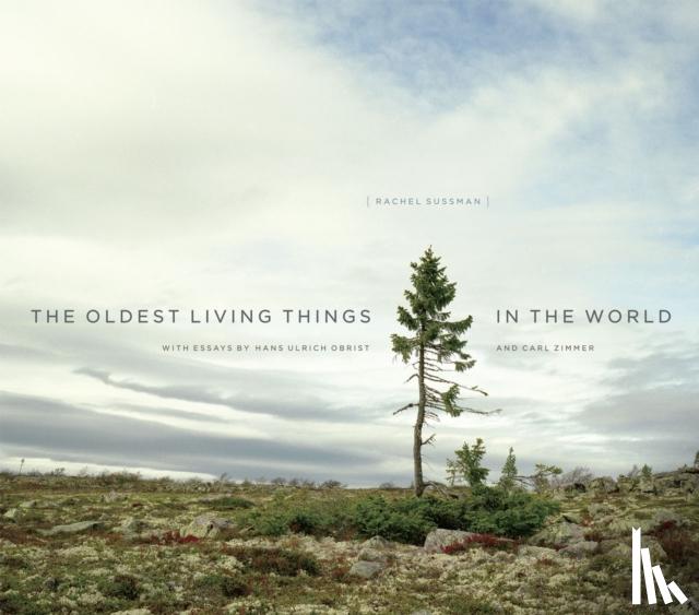 Rachel Sussman, Hans-Ulrich Obrist, Carl Zimmer - The Oldest Living Things in the World