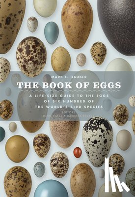 Hauber, Mark E. - The Book of Eggs