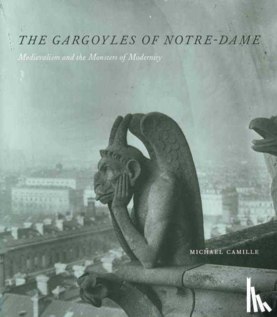 Camille, Michael - The Gargoyles of Notre Dame