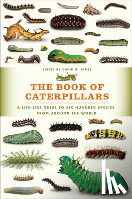  - The Book of Caterpillars