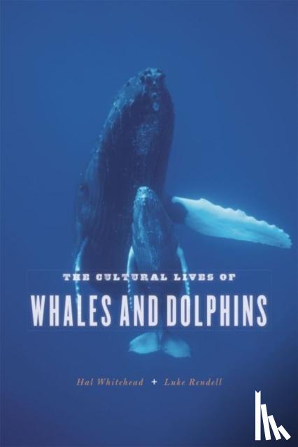 Whitehead, Hal, Rendell, Luke - The Cultural Lives of Whales and Dolphins