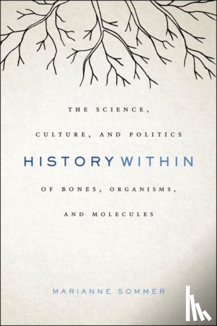 Sommer, Marianne - History Within