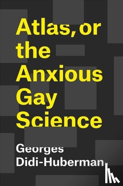 Didi-Huberman, Georges, Lillis, Shane B. - Atlas, or the Anxious Gay Science