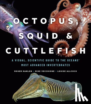 Hanlon, Roger, Vecchione, Mike, Allcock, Louise - Octopus, Squid, and Cuttlefish