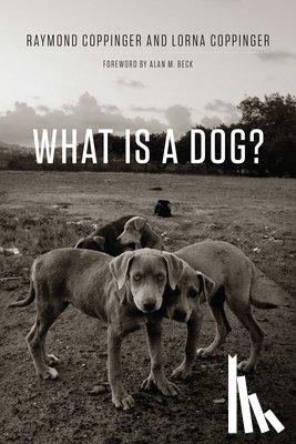 Coppinger, Raymond, Coppinger, Lorna - What Is a Dog?