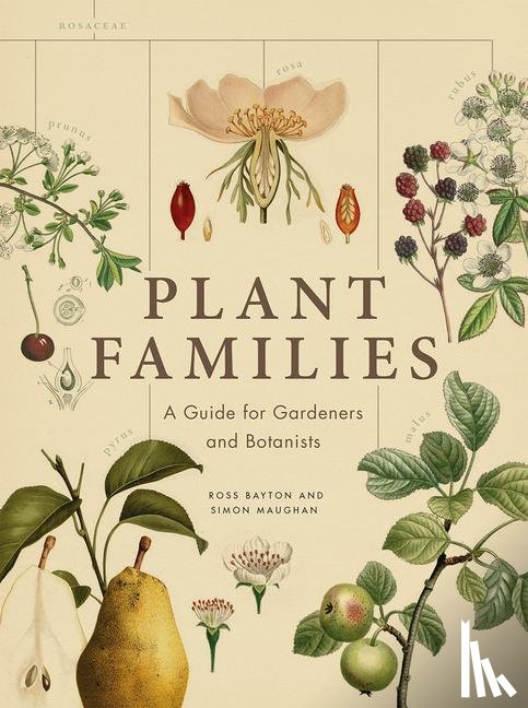 Bayton, Ross, Maughan, Simon - Bayton, R: Plant Families