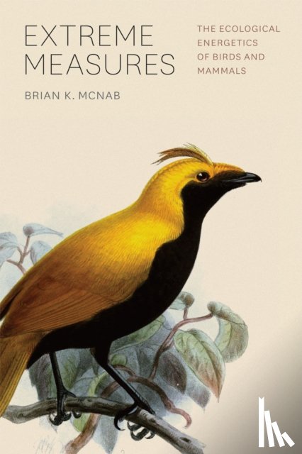 Mcnab, Brian - Extreme Measures