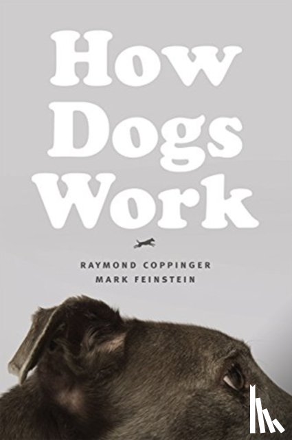 Coppinger, Raymond, Feinstein, Mark - How Dogs Work