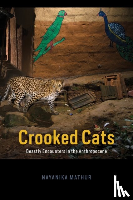 Mathur, Nayanika - Crooked Cats