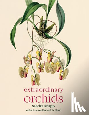 Knapp, Sandra - Extraordinary Orchids
