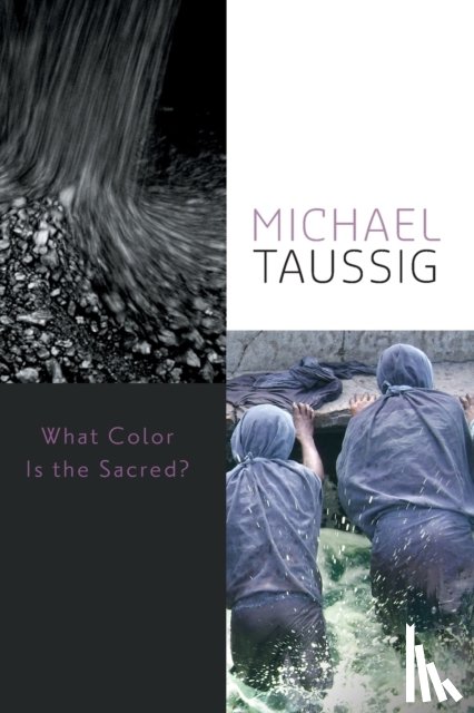 Taussig, Michael - What Color Is the Sacred?