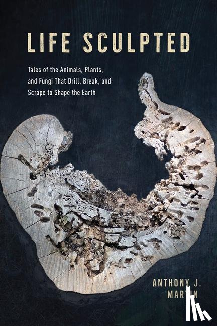 Martin, Anthony J. - Life Sculpted