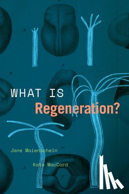 Maienschein, Jane, MacCord, Kate - What Is Regeneration?