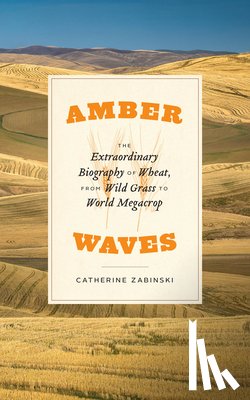 Zabinski, Catherine - Amber Waves