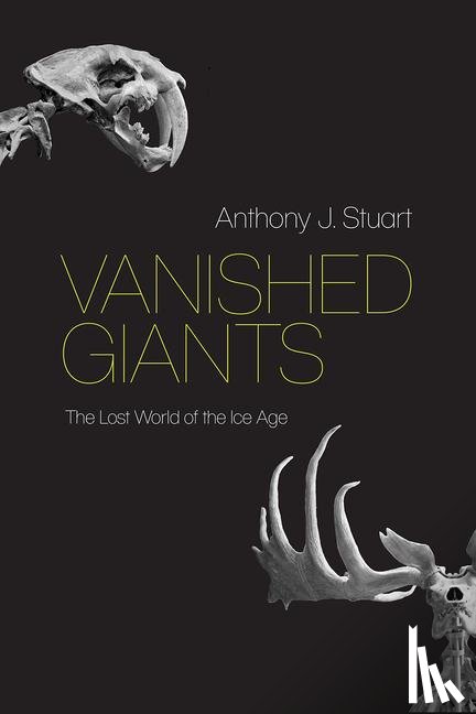 Stuart, Anthony J - Vanished Giants