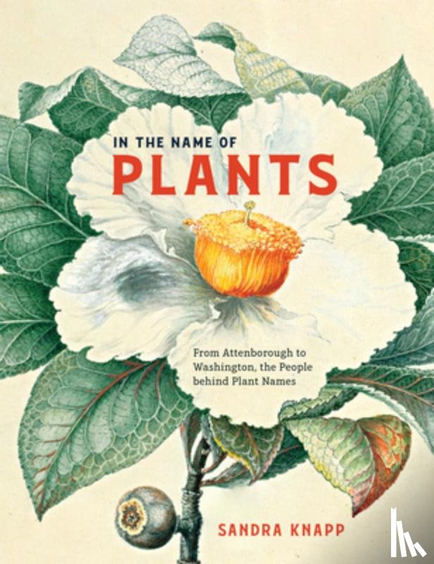 Knapp, Sandra - In the Name of Plants: From Attenborough to Washington, the People Behind Plant Names