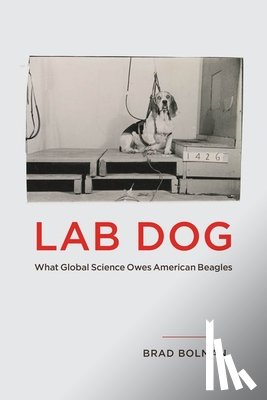Bolman, Brad - Lab Dog