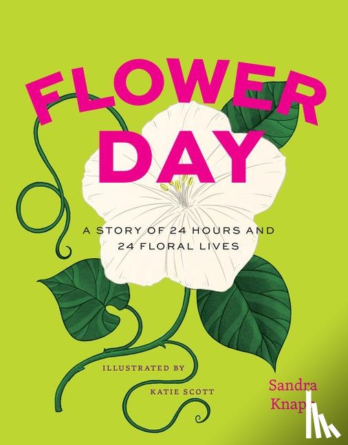 Knapp, Sandra - Flower Day