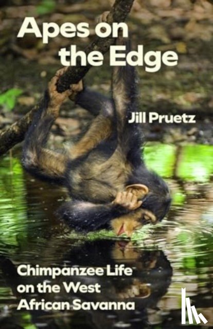 Pruetz, Jill - Apes on the Edge