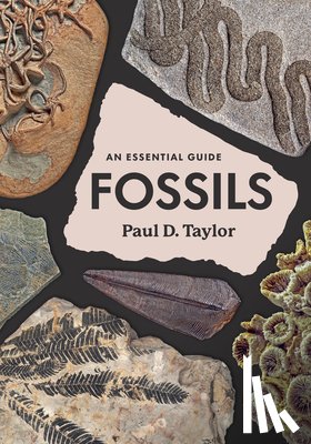 Taylor, Paul D. - Fossils: An Essential Guide