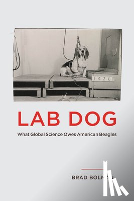 Bolman, Brad - Lab Dog