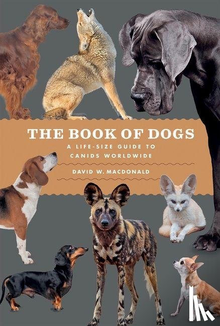 Macdonald, David W. - The Book of Dogs