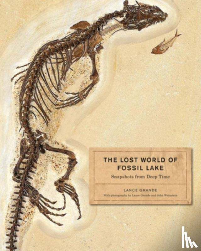 Grande, Lance - The Lost World of Fossil Lake