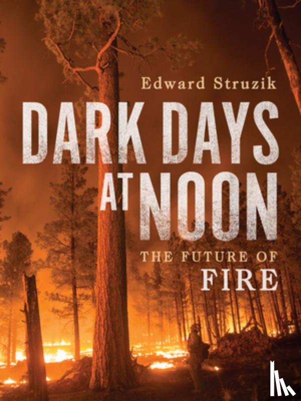 Struzik, Edward - Dark Days at Noon