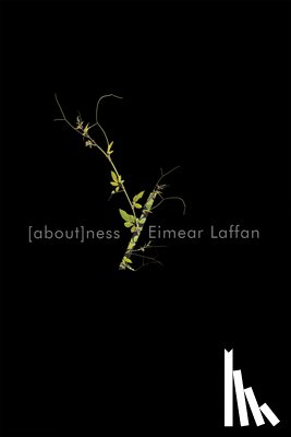 Laffan, Eimear - Aboutness