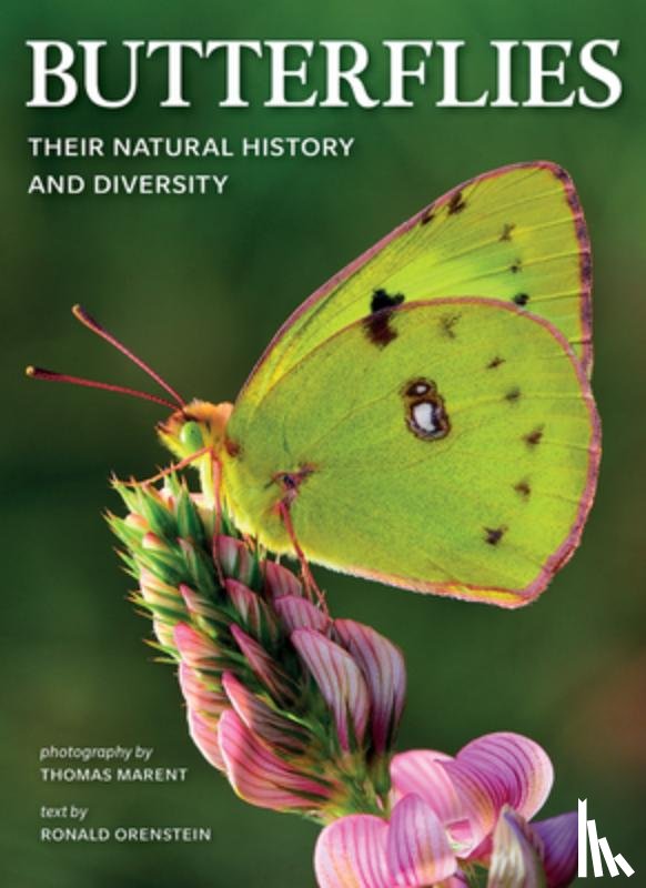 Orenstein, Ronald - Butterflies: Their Natural History and Diversity