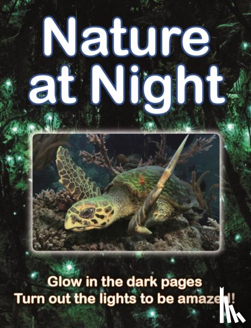 Regan, Lisa - Nature at Night