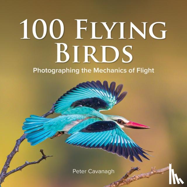 CAVANAGH, PETER - 100 FLYING BIRDS