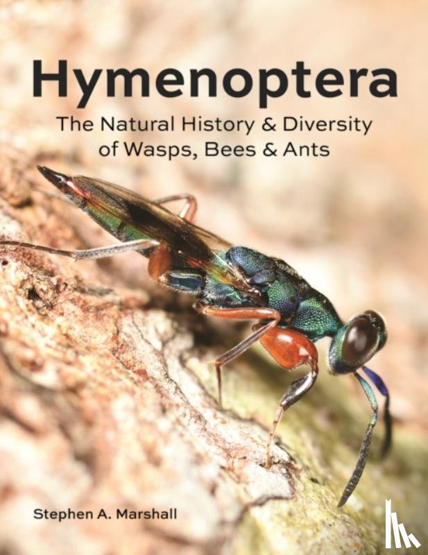 Marshall, Stephen A - Hymenoptera