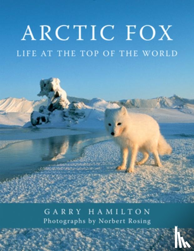 Hamilton, Garry - Arctic Fox