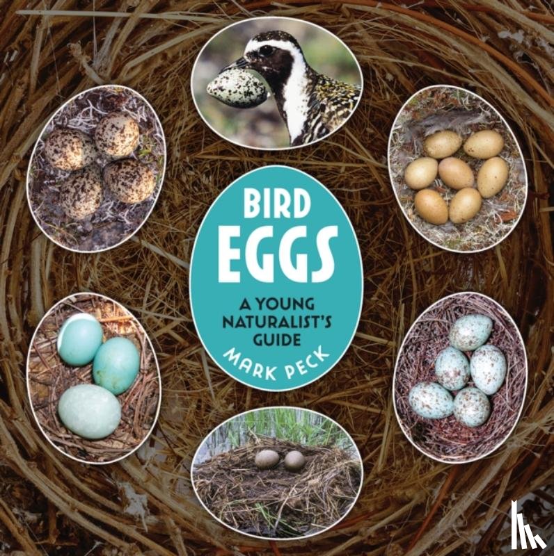 Peck, Mark - Bird Eggs