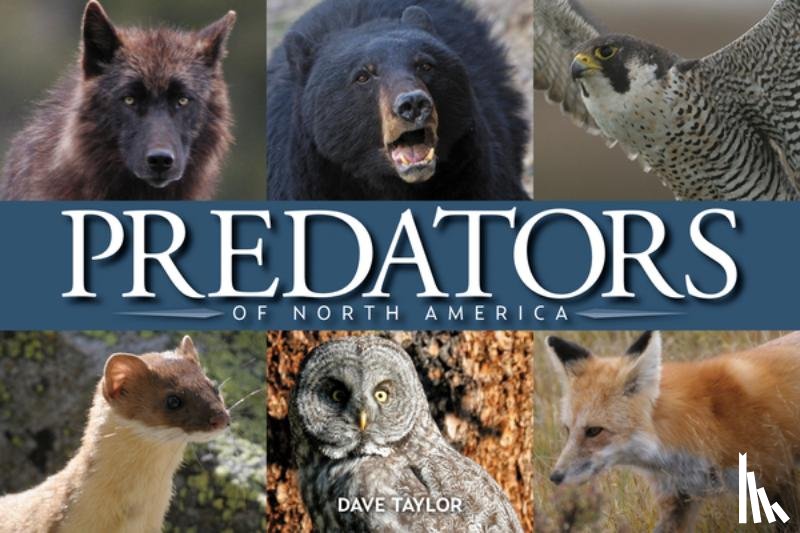 Taylor, Dave - Predators of North America