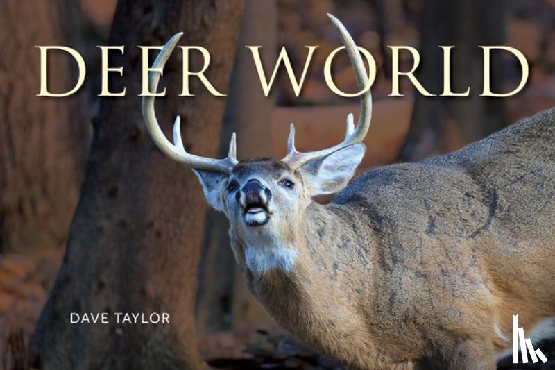 Taylor, Dave - Deer World